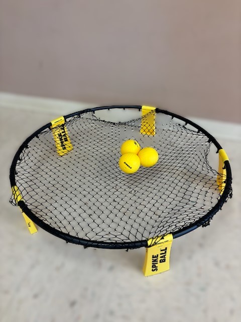 Spikeball.jpeg